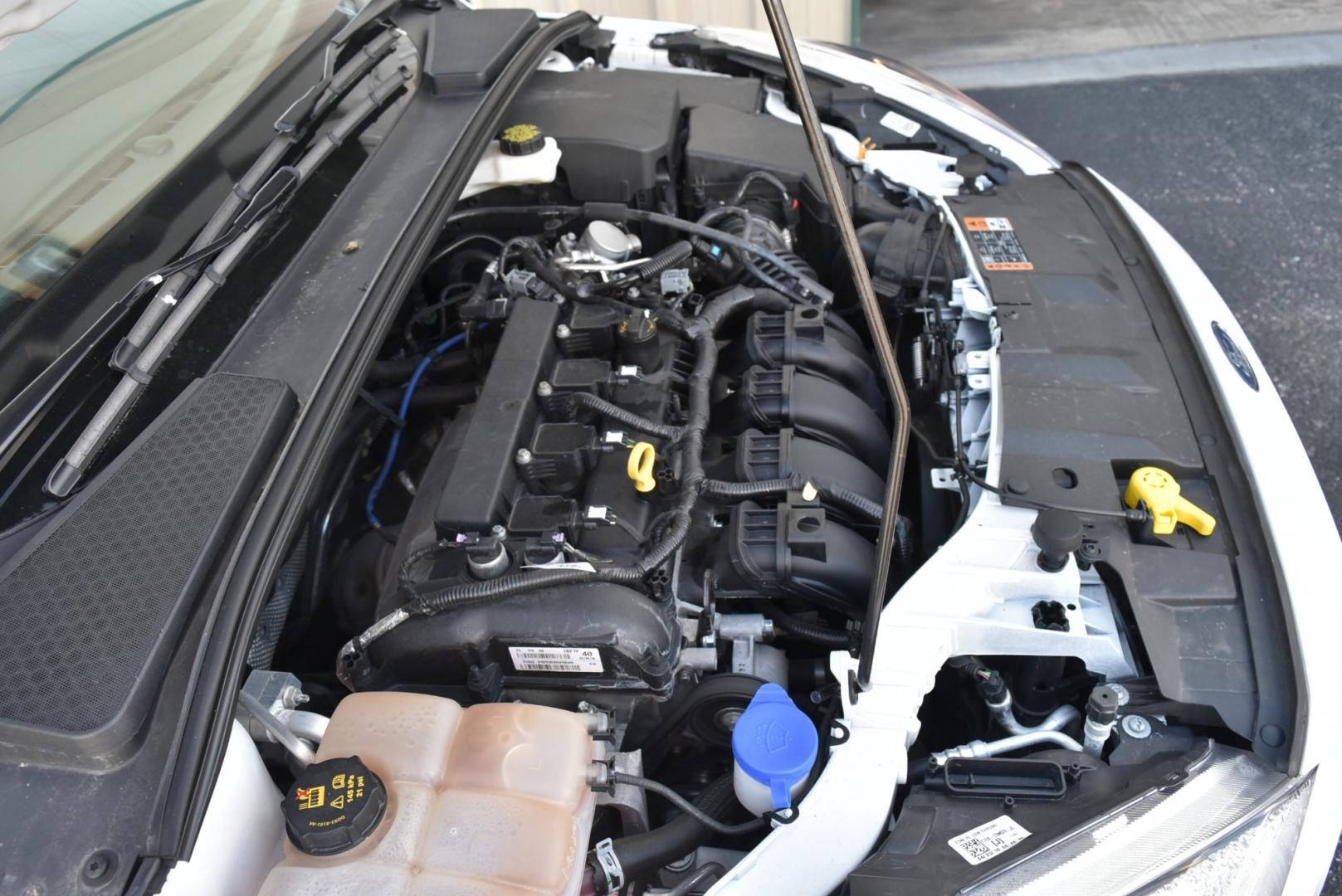 2018 White /Black Ford Focus SE (1FADP3F22JL) with an 2.0L I-4 GDI TI-VCT engine, 6-Speed Powershift Automatic transmission, located at 1600 E Hwy 44, Rapid City, SD, 57703, (605) 716-7878, 44.070232, -103.171410 - Photo#25